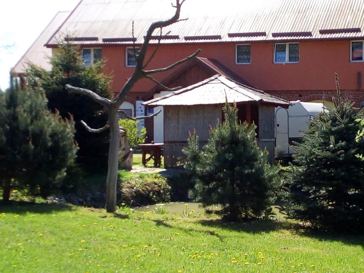 Agroturystyka Andrzejowka Czerniki Buitenkant foto