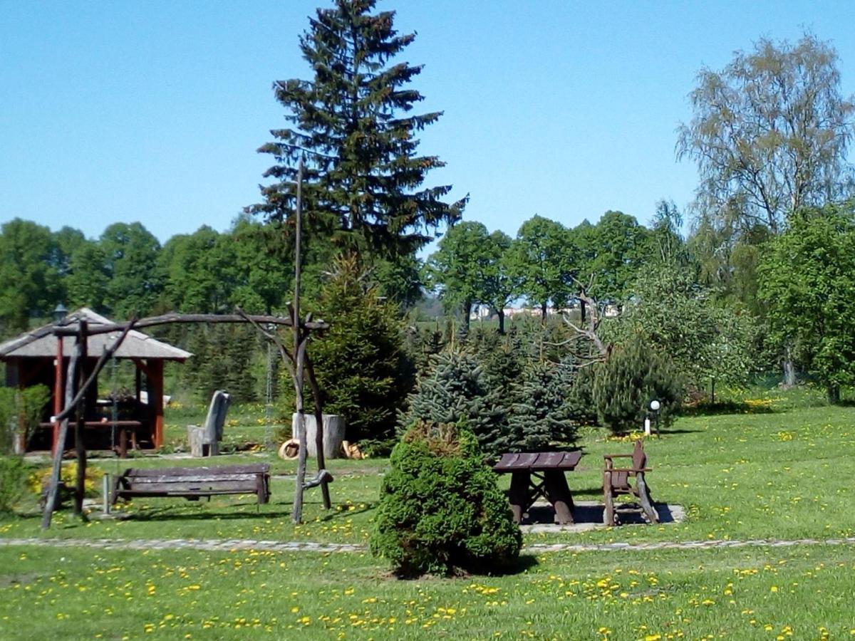 Agroturystyka Andrzejowka Czerniki Buitenkant foto