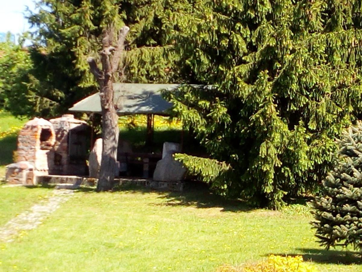 Agroturystyka Andrzejowka Czerniki Buitenkant foto